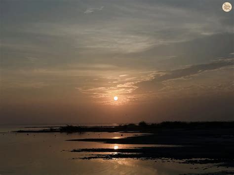Sambhar Salt Lake | India’s Largest Saline Wetland & Hidden White ...