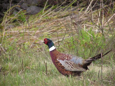 December 2017 Outdoor Discovery Newsletter