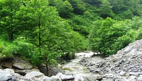 Rize Guide To Unveil The Green Paradise Of Turkey In 2026
