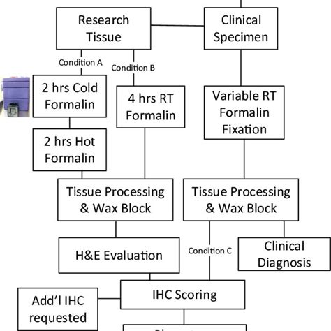 Image result for Process Germline Tissue Sample