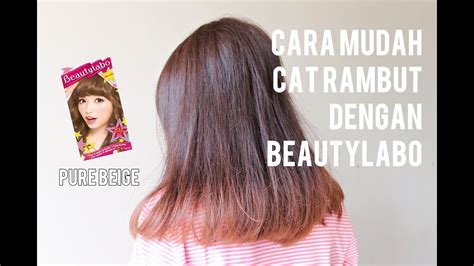 Image result for Tutorial Cat Rambut