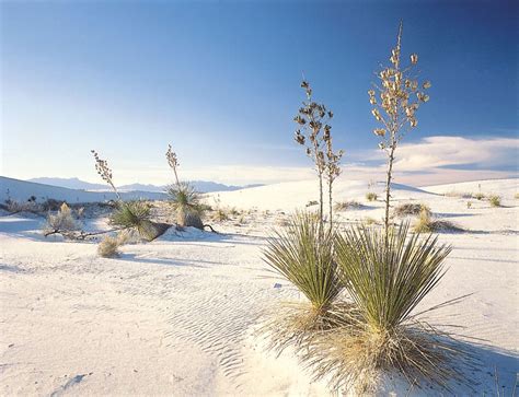 White Sands National Park | New Mexico, Map, & Facts | Britannica