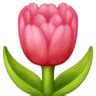🌷 Tulip emoji copy paste png download