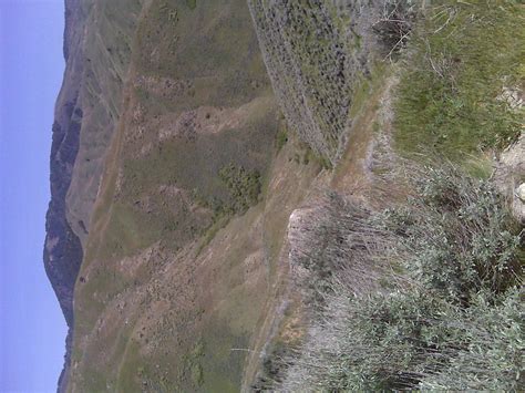 Elevation of 41 N View Pl, Boise, ID, USA - Topographic Map - Altitude Map