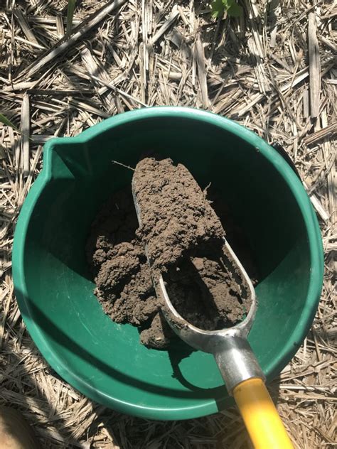 Image result for Soil Sampling
