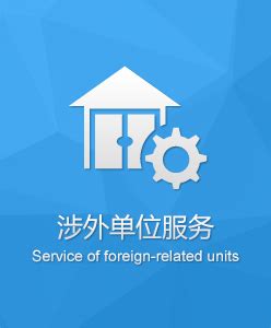广东省境外人员签证证件服务管理系统