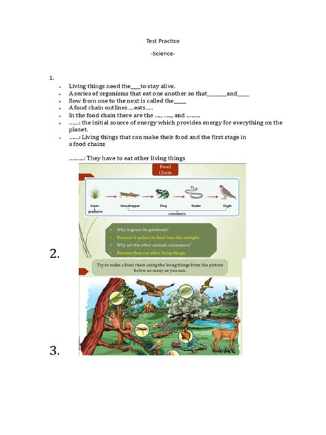 Science Test 的图像结果