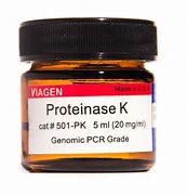 Image result for proteinase 蛋白分解鶣