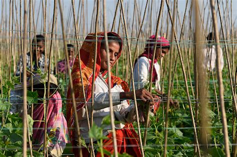 T-Dome Air Defence System Explained: UPSC Current Affairs
