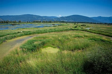 Image result for Environmental Problem On Local Level