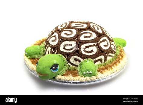 Tortoise Cake Tutorial 的图像结果