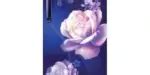 Haier HRD-2102PMN-P 190 Ltr Single Door - Price in India ...