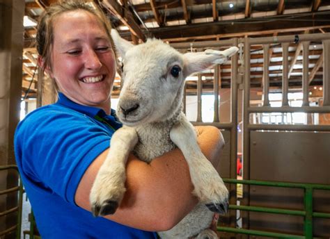 See the sights of the Champlain Valley Fair 2025