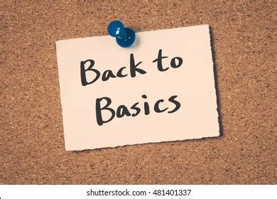 Image result for Basic Back