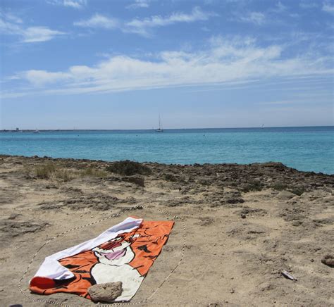 Content Aware Fill Tutorial 的图像结果