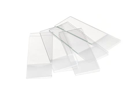 Image result for Microscope Slides Function