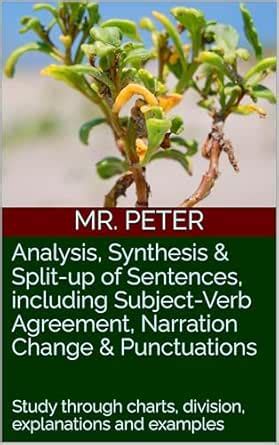Analysis, Synthesis & Split-up of Sentences, including Subject-Verb ...