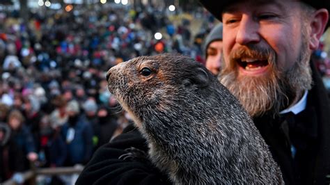 Groundhog Day 2023: Did Punxsutawney Phil see his shadow? | wnep.com