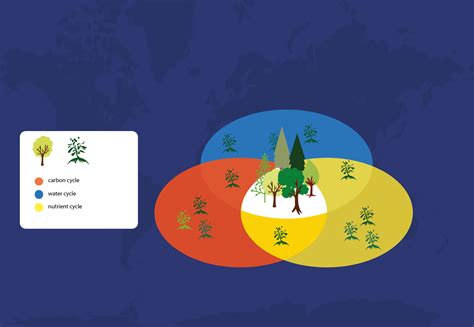 Ecosystem Cycle 的图像结果