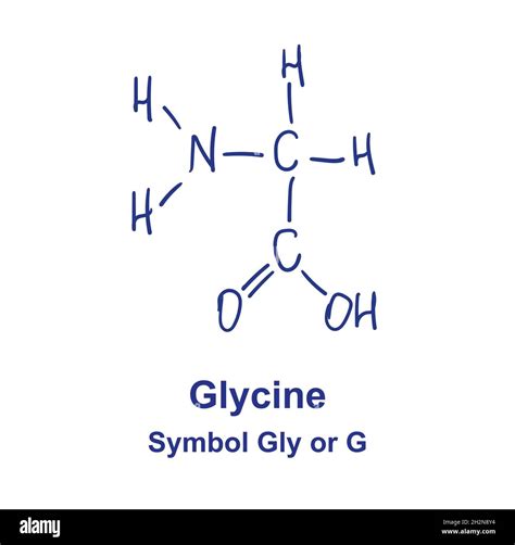The Amino Acid Glycine Is Of Type at Leta Tabor blog