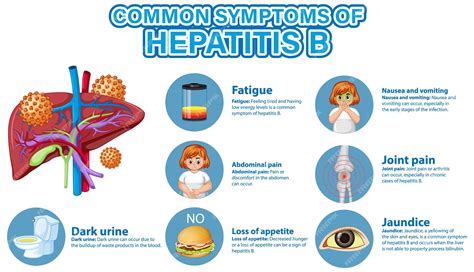 Free Vector | Informative poster of common symptoms hepatitis b
