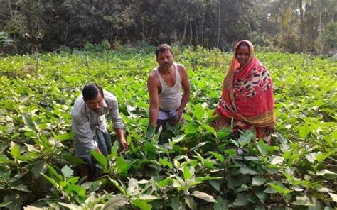 Buy Fresh Food From Organic Bazaar In Kolkata | WhatsHot Kolkata