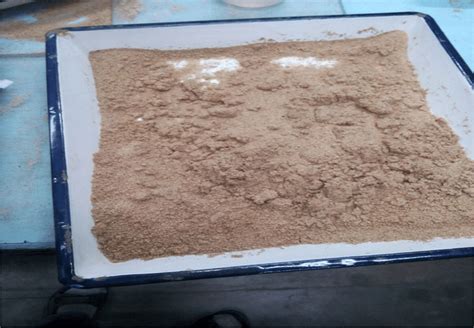 Sand Sample 的图像结果