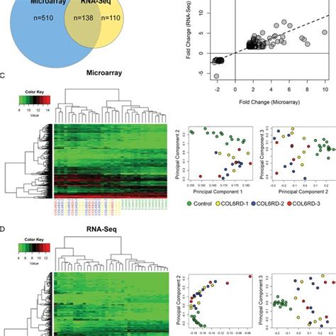 RNA-Seq vs Microarray 的图像结果