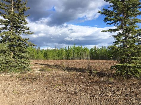 Agricultural Fairgrounds | Yukon Agricultural Association