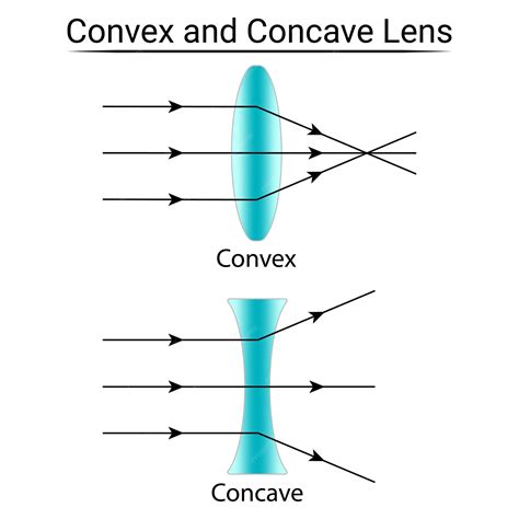 Premium Vector | Convex and concave lens refraction of light physics education science vector ...