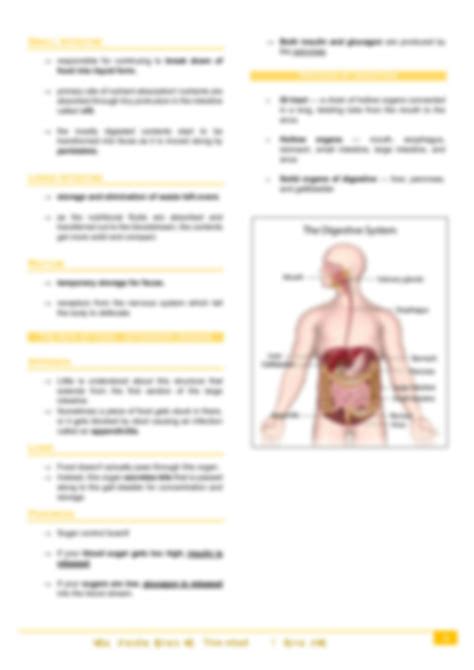Image result for Digestive System Notes