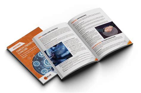 Image result for SAP Clean Core Overview