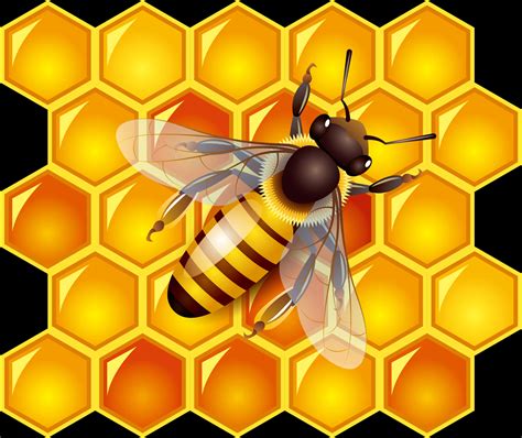 Busy Bee PNG 的图像结果