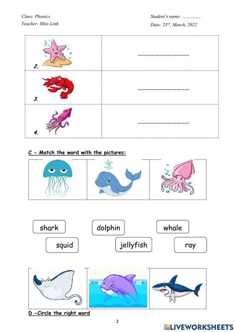 Image result for C5 Tutorials