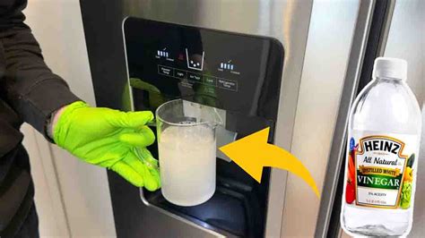 Spring Water Dispenser How to Clean 的图像结果