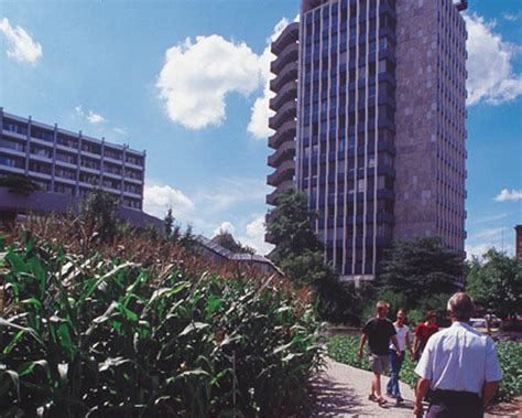 Syngenta expandiert in Afrika | agrarheute.com