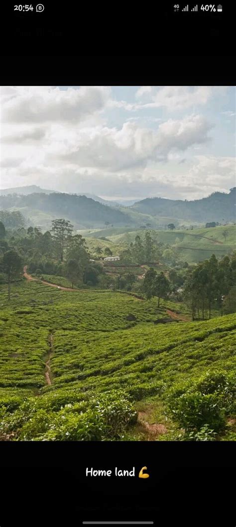 𝗧𝗛𝗘 𝗕𝗘𝗦𝗧 Hotels in Njombe Region of 2025 (with Prices)
