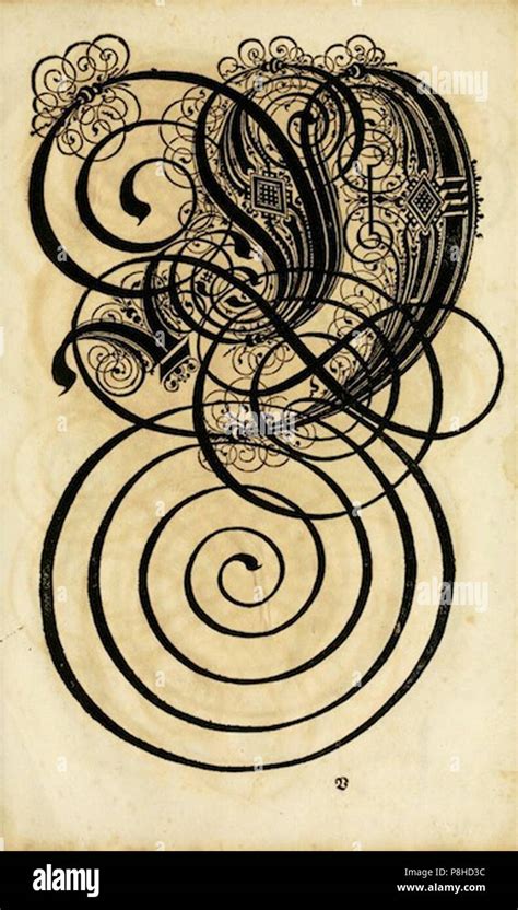 German Language 的图像结果