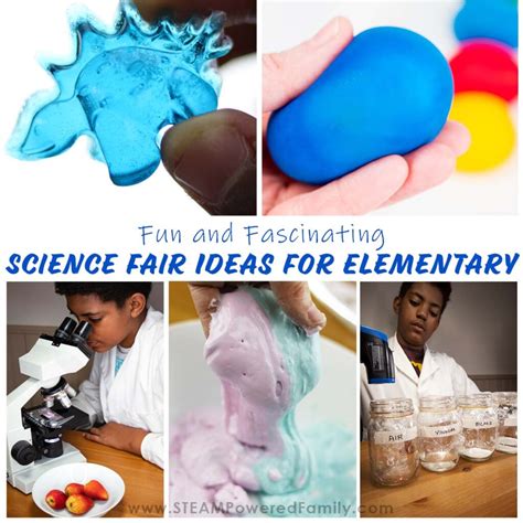 Image result for Science Fair Tips