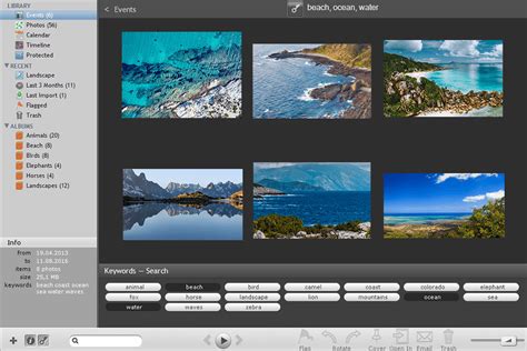 Image result for Photo Sorting Software