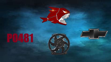 P0481 Code 的图像结果