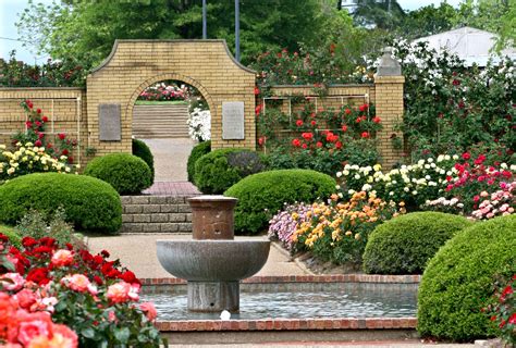 The Tyler Rose Garden is one of 24 AARS trial sites and features more ...