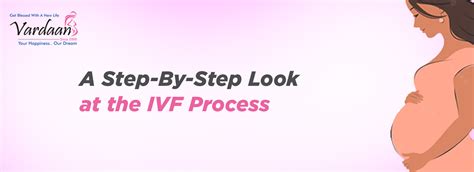 IVF Process Step by Step 的图像结果
