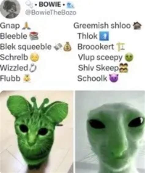 Alien Language Meme 的图像结果