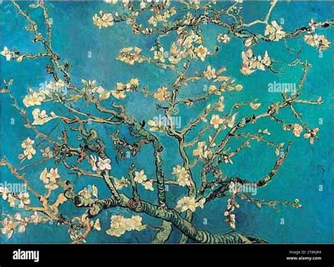 Van Gogh Almond blossom Stock Photo - Alamy