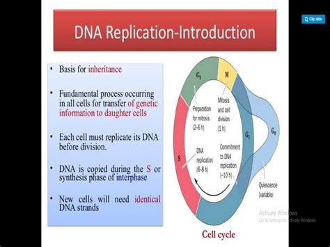 Cell DNA Replication 的图像结果