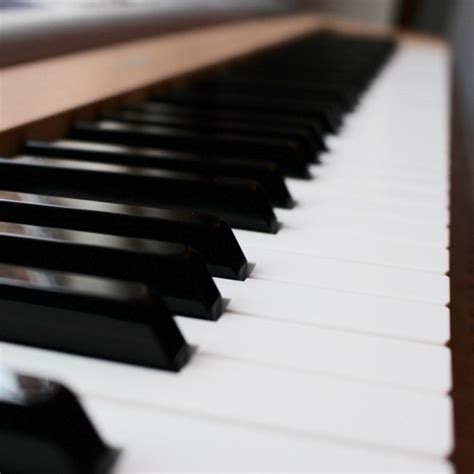 Image result for Piano Roblox Corpse Bride