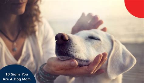 10 Signs You’re a Proud Dog Mom | Zigly Guide