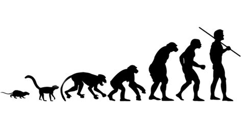 Evolution of Human Drawing 的图像结果