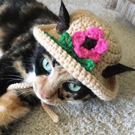 Crocheted Pink Flower Cat Hat, Summer Pet Costume - Etsy | Crochet cat ...